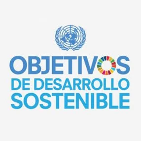 Ícono de Objetivos de Desarrollo Sostenible