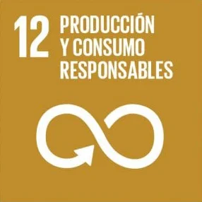 Ícono del ODS 12 - Producción y consumo responsables