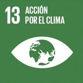 Ícono del ODS 13 - Acción por el clima